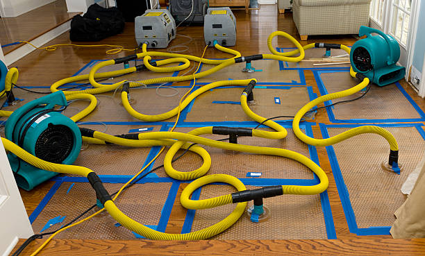Professional Burst Pipe Water Damage technician working in Midvale, OH